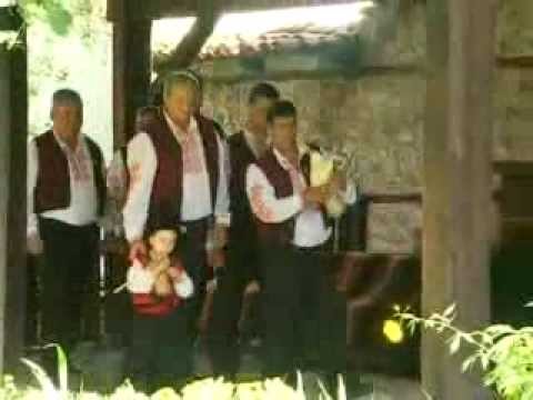 Извила се бела лоза Бански старчета