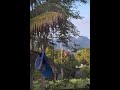 Mas videos del apoyo aéreo con minigun en el enfrentamiento en sin #comenta #suscribense #comparte