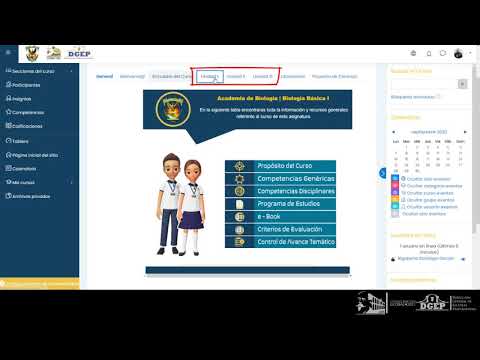 Conoce el diseño de tus cursos