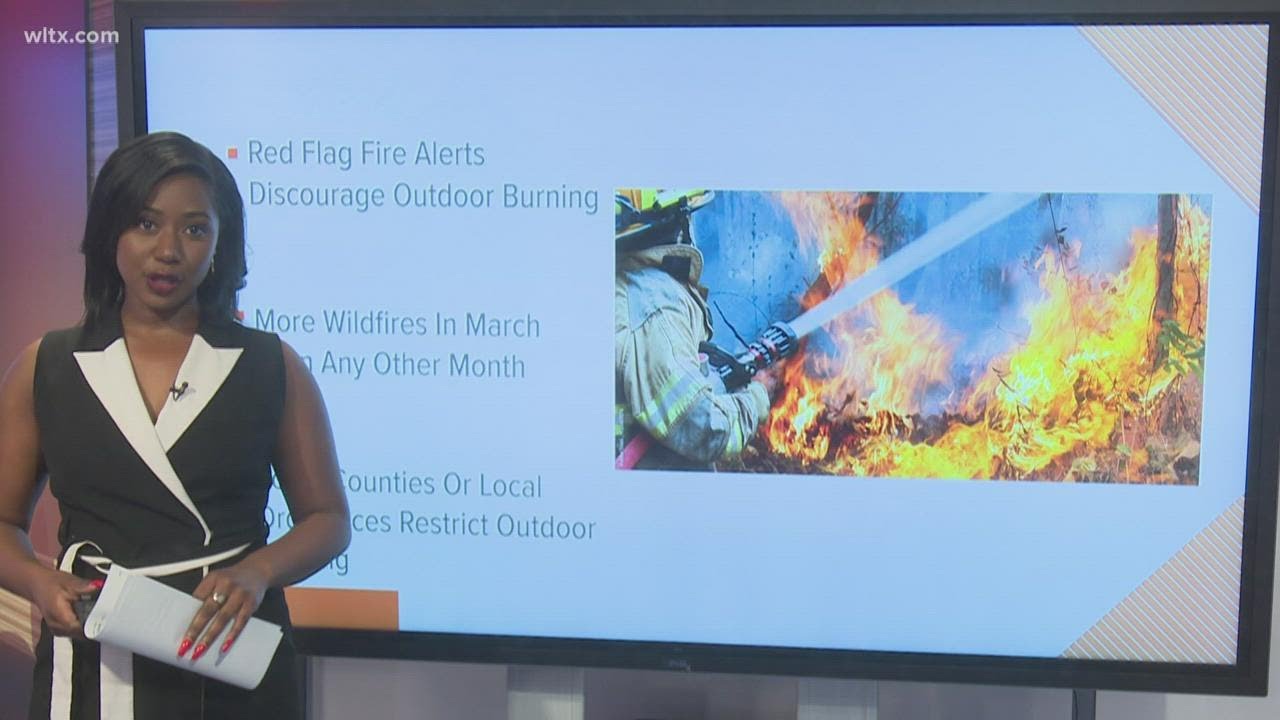 Red Flag Fire Alert in South Carolina: What is it? - YouTube