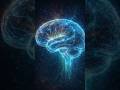 Your Brain Has a Hidden Cleaning System 🧠✨#brainfacts #neuroscience #brainhealth #trendingshorts