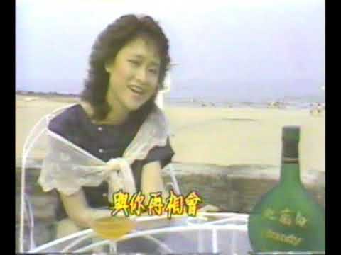難忘的機場-尤雅(許杭作詞 駱明道作曲)台視翡翠假期19830525