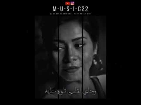 حالات واتس شيرين حزين بتحكي في ايه