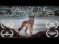 Call Of The Coastal Wolves - British Columbia sea wolf mini-documentary