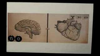 PostSecret - A Valentine Video