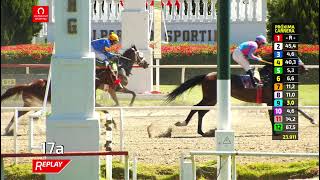 Vidéo de la course PMU PRIX YA PRIMO