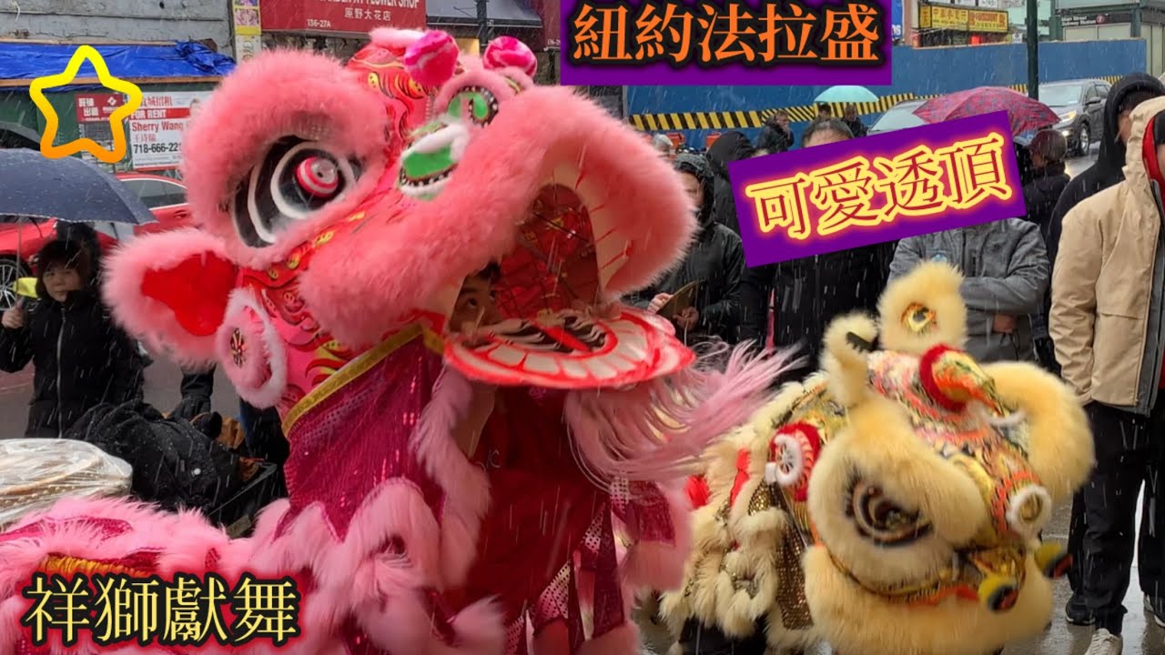 🔥紐約法拉盛🔥祥獅獻舞，可愛透頂「六福珠寶」🔥好彩頭。Flushing Lion Dance Lunar New Year, 2016精彩絕倫❤️我們是新的頻道，請多多訂閱跟我們一起成長，謝謝你喔❤️