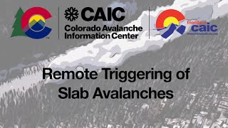 Remote Triggering of Slab Avalanches