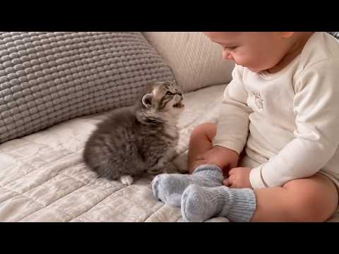 This Talking Cat Became A Baby's Best Friend 🥺🐱👶