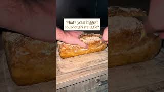 Get your Sourdough Crumb right