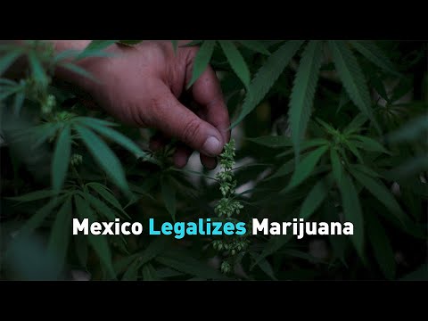 Mexico Legalizes Marijuana