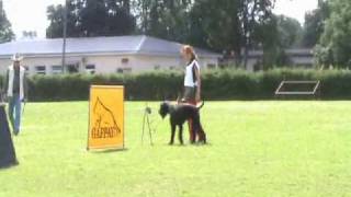 Phoenix Emperior Bewitch Bodyposture IPO MV 2009 B 72