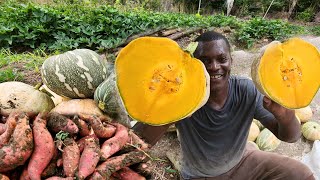 how to reap the best pretty pumpkin on the farm and potato for the market