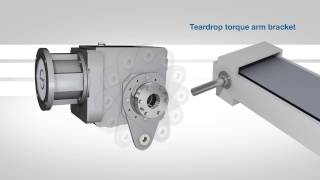 Installation and Maintenance Series: Torque Arm Mounting Your Gearbox