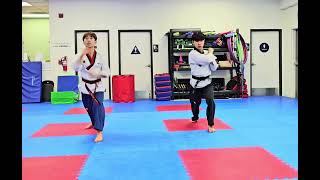Taegeuk 7 Jang scissors Block