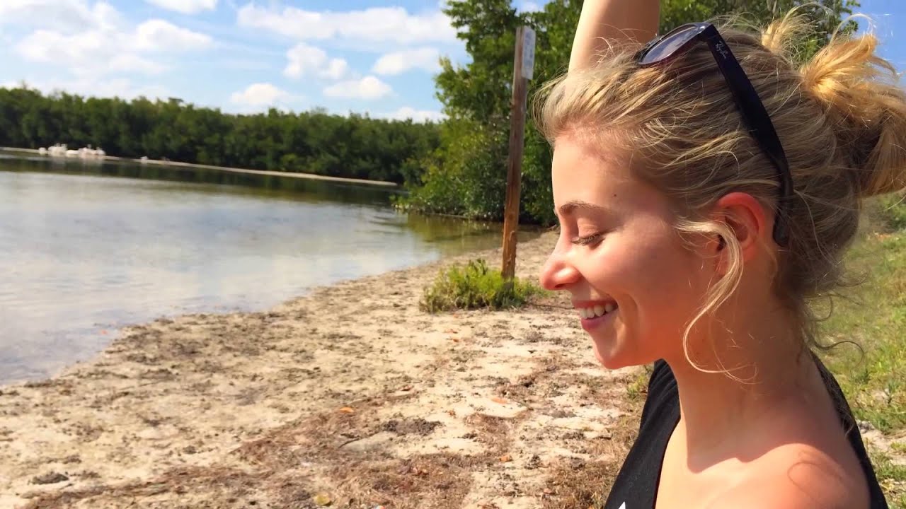 Fiddler on the Beach: Thousands of Fiddler Crabs!!