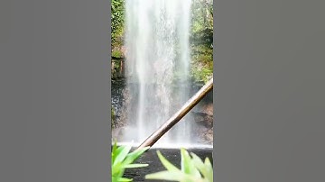 سورة الملك مع مناضر الحياة