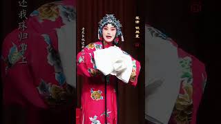 Unlock the Secrets of Zhai Qian's The Lock of the Golden Phoenix with Zhang Huoding