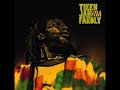 Tiken Jah Fakoly - Promesse Bla Bla