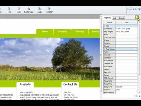 Inserting HTML into the head section of Web Easy 8