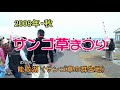 日本一のサンゴ草群落地(能取湖)