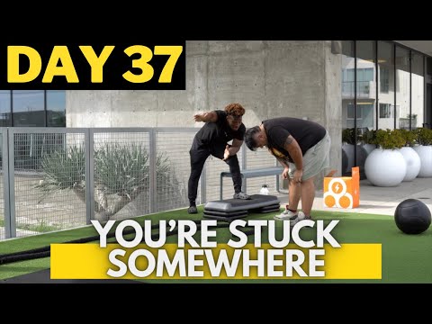 THE BULKY SHOW - DAY 37
