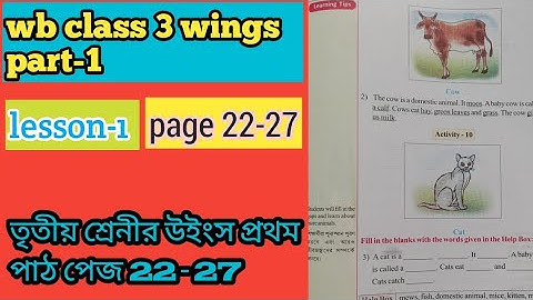 wb class 3 wings part-1 (lesson-1) activity 7-13,page 22-27/তৃতীয় শ্রেনীর উইংস প্রথম পাঠ লেশন 1ইংলিশ