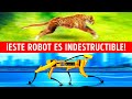 10 Asombrosos robots que realmente existen y están inspirados en animales