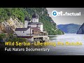 Wild Serbia - Life Along The Danube - Full Nature Documentary