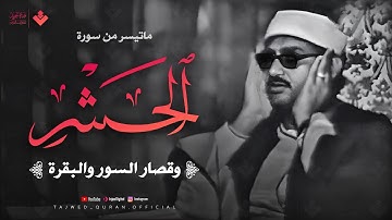 هو الله | أجمل نوادر الصوت الباكي | من سورة الحشر وقصار السور والبقرة | جودة عالية