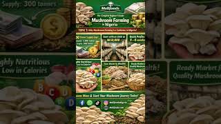 MOLI FOODS Mushroom Training Batch A: Mar 28. High demand, fast returns, low space. Register now!