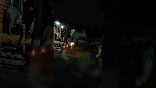 #jallikattu #kangayam #pernambut #trending