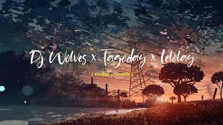 Dj Wolves x Tagoday 🎧 Slowed - Reverb 2022