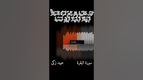 أجمل حالات الواتس اب ♥️ القرآن الكريم بصوت جميل #quran #القرآن #القرآن_الكريم #حالات #سورة_البقرة