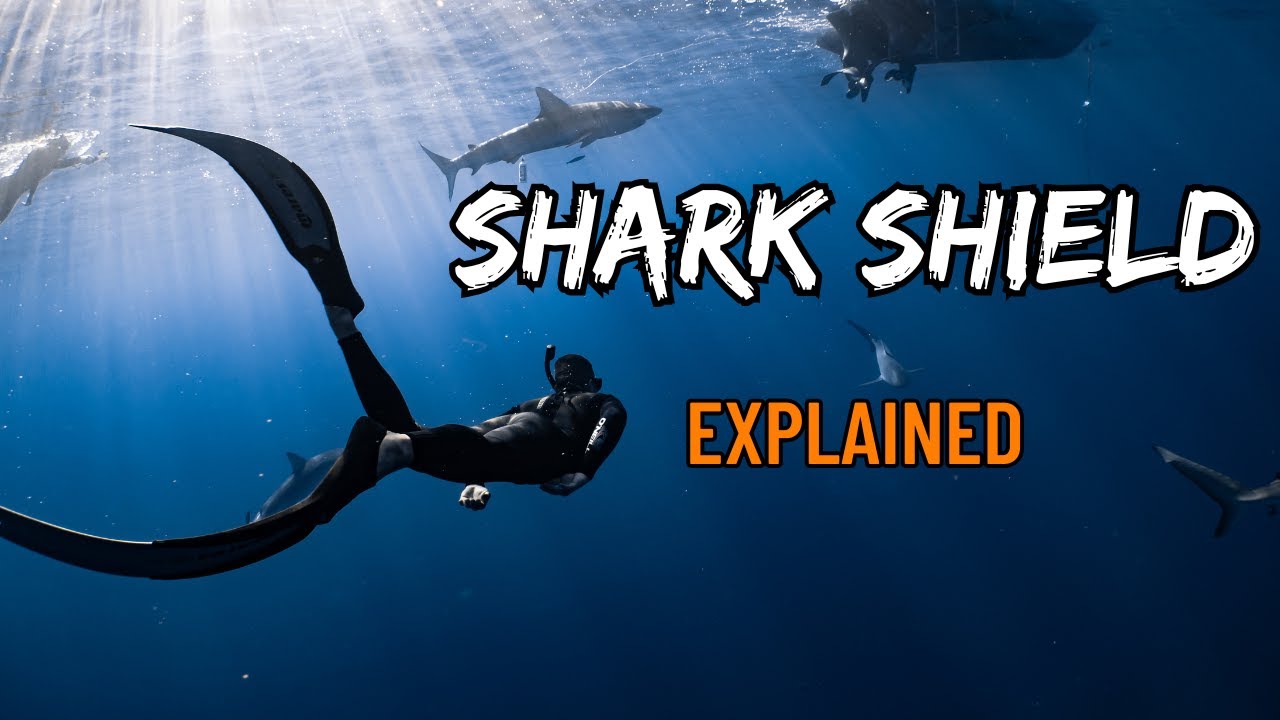 How the SHARK SHIELD switch works and HOW TO FIX IT