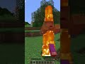 10 choses que vraiment personne ne sait sur minecraft  shorts