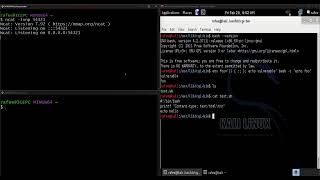 Shellshock Attack VIA cgi scripts attack vector