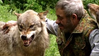 L'Homme qui rêvait d'être loup