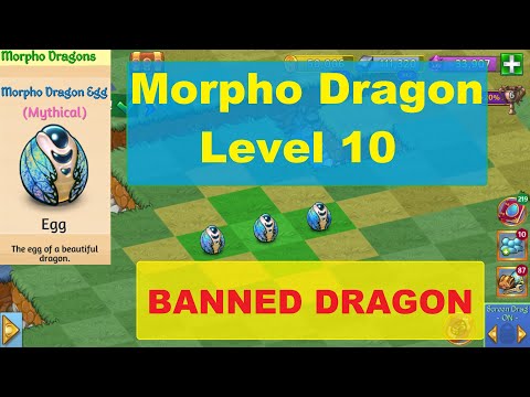 Merge Dragons The BANNED Morpho Dragon Level 10