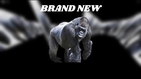 PM 6:06:06.606 | BRAND NEW