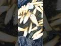 Best Fish 🎣🐟#shortvideo #fish #viralvideo #vlog #fishing #video