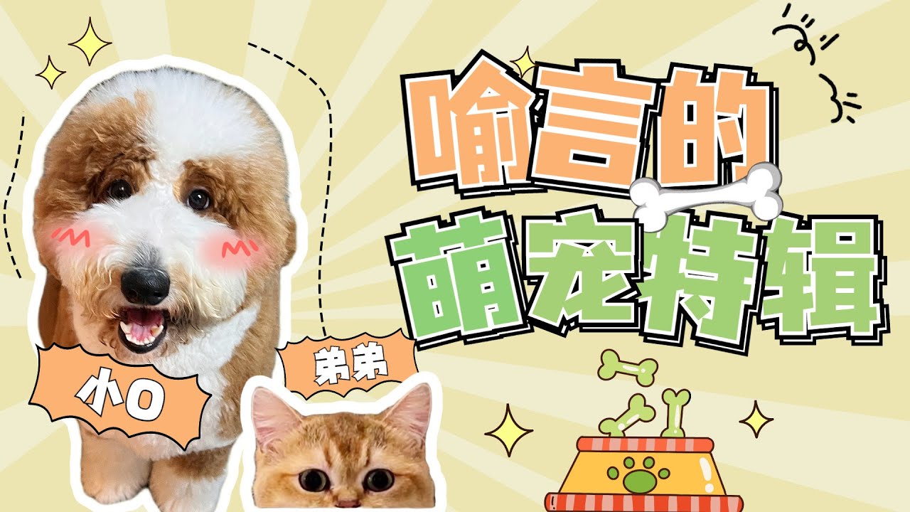 【Ylog】Yu Yan 喻言-萌宠特辑