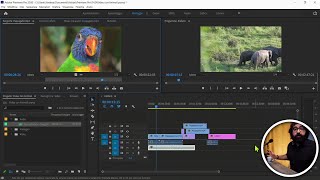 Adobe PREMIERE PRO: corso gratis per MONTARE VIDEO