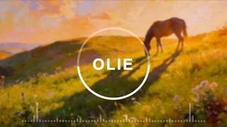 Axol & Alex Skrindo – You • Slowed to Perfection | Olie Music