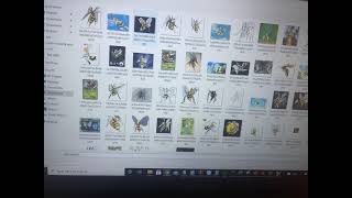 Image Classification Walkthrough