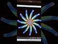 python turtle graphics design #coding #python #youtube #programming #shorts#youtubeshorts#viral