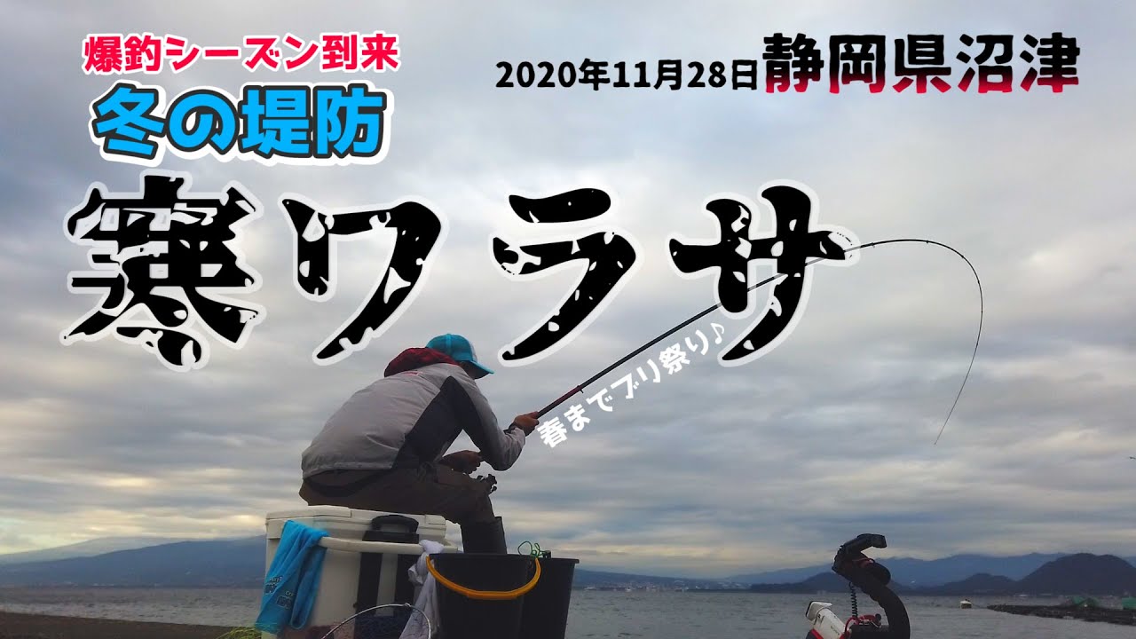 沼津の堤防で寒ワラサ釣り 釣果が大イナダ 大ワラサ 冬の沼津の海は青物釣りシーズンが到来したヨ 魚釣り系you Tuberまとめサイト Fishing