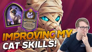 Improving My Cat Skills! | Hearthstone Battlegrounds | Savjz