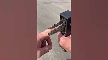 Корнеудалитель Palisade в действии 😎 Одуванчик будет повержен😁