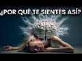 Neurotransmisores ✅  Salud Mental y Emociones - Tipos y Funciones